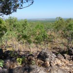 Looking over the plain from atop the Litchfield plateau