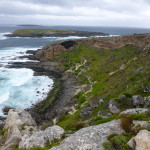 Walking the shore of Flinders Chase