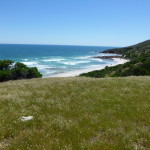 Overlook on Stokes Bay from the kangaroo field