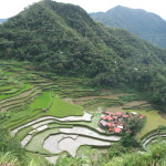 Rice terraces of Batad gleaming in the sun