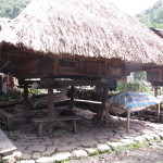 Ifugao tribal home at Batad, newly thatched