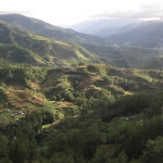 Carving up the hills with vegetable terraces