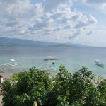 The rich tropical seas at Turtle Bay resort, Moalboal