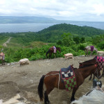 Ponies and perspectives from atop Taal volcano