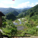 Rice terraces of Banaue in morning light