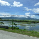 Driving Negros Island near the coastline, waterway and sugarcane