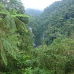 The graceful falls, Busay Kapid, near the village on Mt. Kanlaon