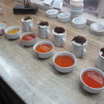 Tea tasting, with first flush on the left