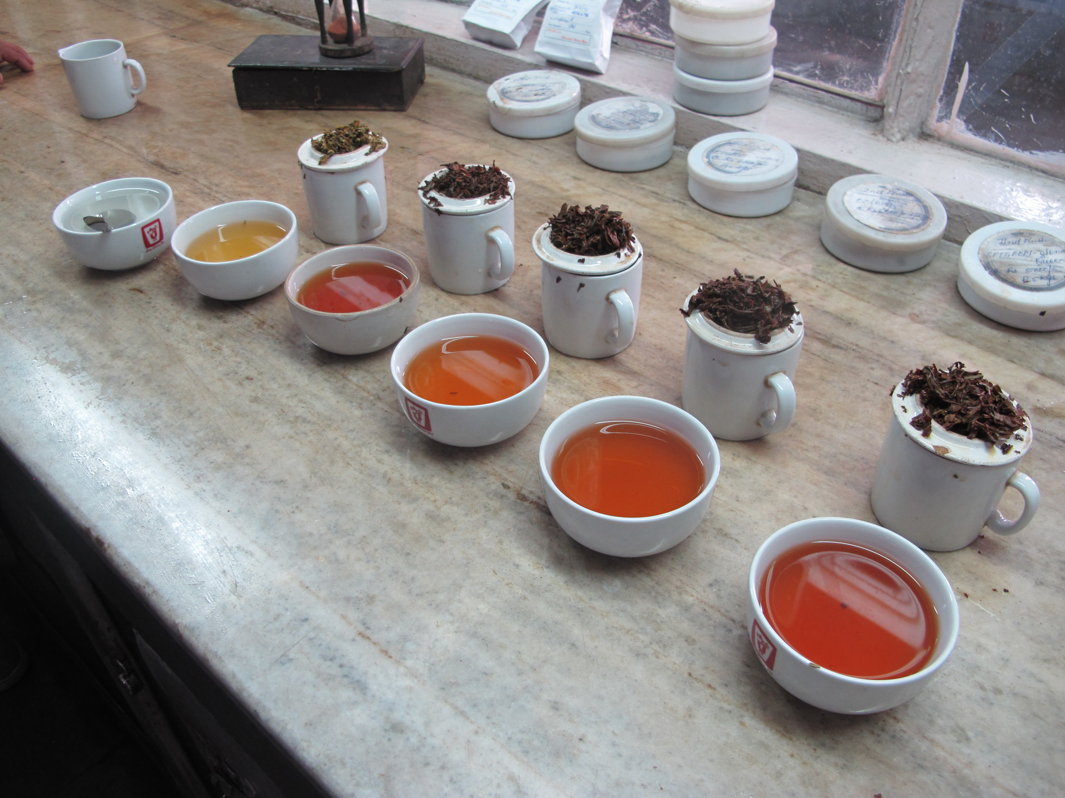 You are currently viewing Complexi-Teas: A Taste of Darjeeling