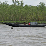 Fishing in Sunderbans delta near protective tiger netting