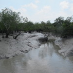 Contours of land at low tide, Sunderbans