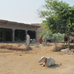 Farming town, Chambal