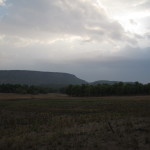 Storm clouds gather in the park