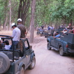 The safari jeeps gather at the reservoir