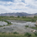 Indus Valley near Shey/Thikse