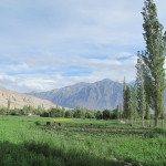 Fertile fields amid the mountains, Nubra Valley