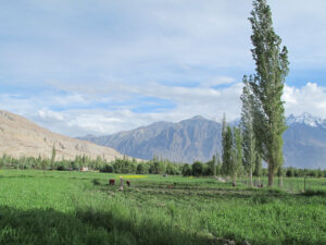 Read more about the article River Deep, Mountain High: Geographic Landscape of Ladakh