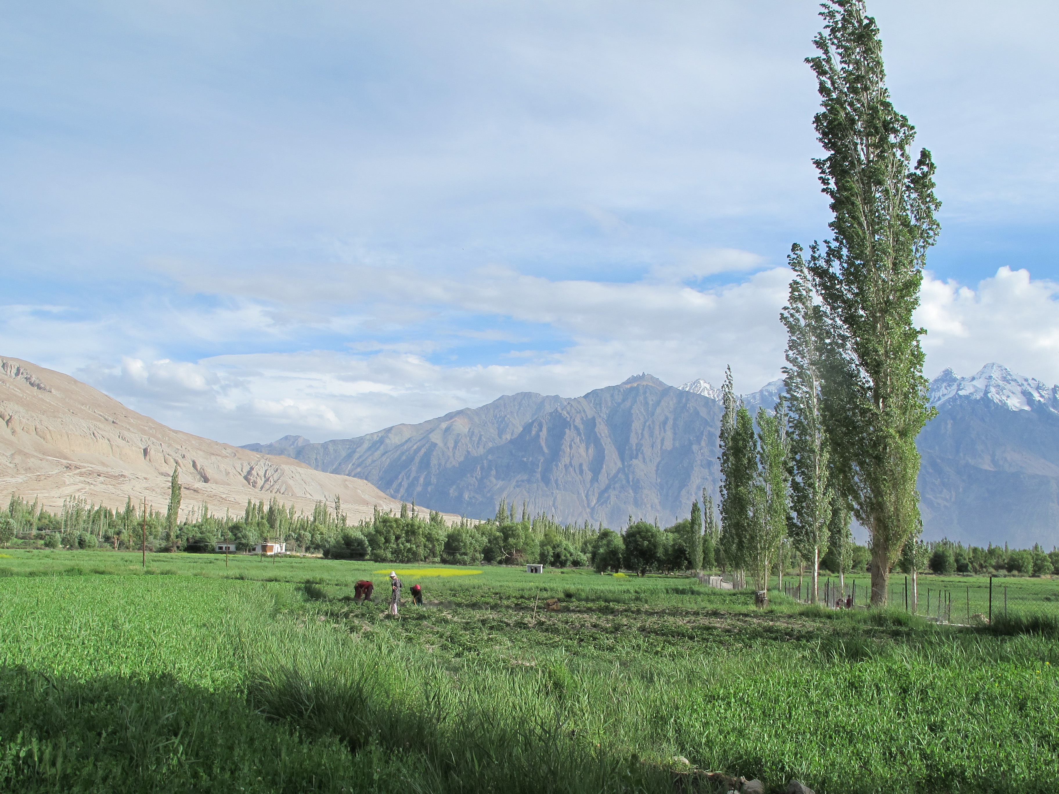 You are currently viewing River Deep, Mountain High: Geographic Landscape of Ladakh