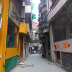 Prowling the back alleys of Hauz Khas, Delhi