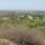 View from atop Sanchi