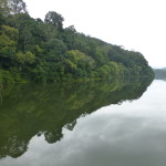 Morning boat cruise, Periyar National Park, Kerala