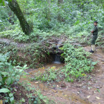 Morning walk, Periyar National Park