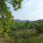 Passing thru the Aravali Hills