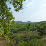 Passing thru the Aravali Hills