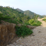 Hiking old British carriageway, Kumbalgarh Wildlife Sanctuary