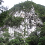 Limestone hills of Gunung Mulu National Park