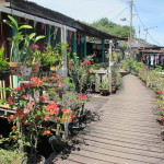 Gardens on the water village of Bandar Seri Begawan