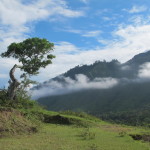 Inner cone of volcano at Samosir Island