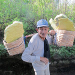 Sulfur carrier, Mt. Ijen