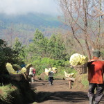The laborious descent from Mt. Ijen to deliver the sulfur cake