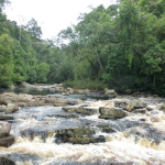 Waterfall, Taman Negara