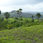 Rincah Island, second home to Komodo dragons