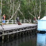 Tourists looking for photo-op at dock where orangutan seeks lunch