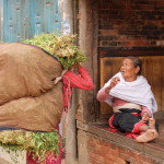 Chickpea seller and buyer