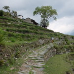 Ascending on the Annapurna