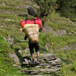 Sherpa carrying the load