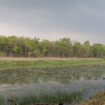 Chitwan lakeside