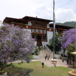 Entrance, Punakha dzong