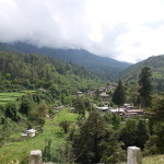 A happy valley amid the forests