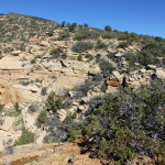 Shale surface on way up Bear Mt.