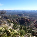 Southern view from Bear Mt.