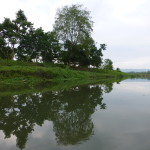 Canoeing Chitwan