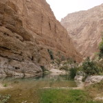 Upstream at Wadi Shab