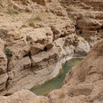Pools of Wadi Shab