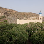 Fragrant rose gardens, Jabal Al Akhdar