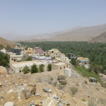 Date palm plantation along the aflaj of Wadi Bani Khalid